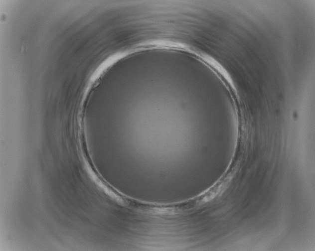 X0000085301381200703231847