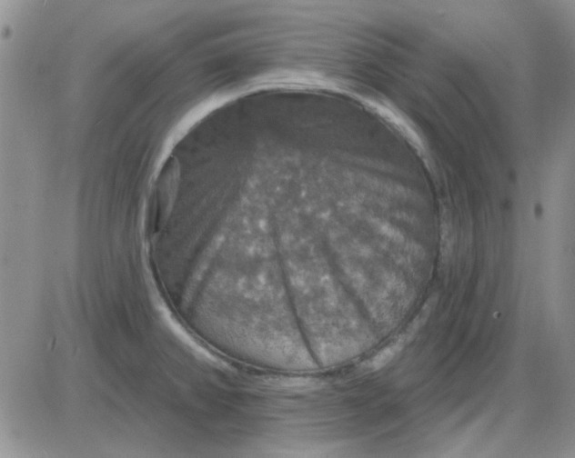 X0000085301382200703231847