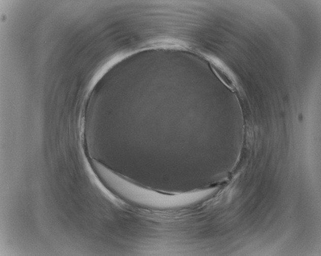 X0000085301383200703231847