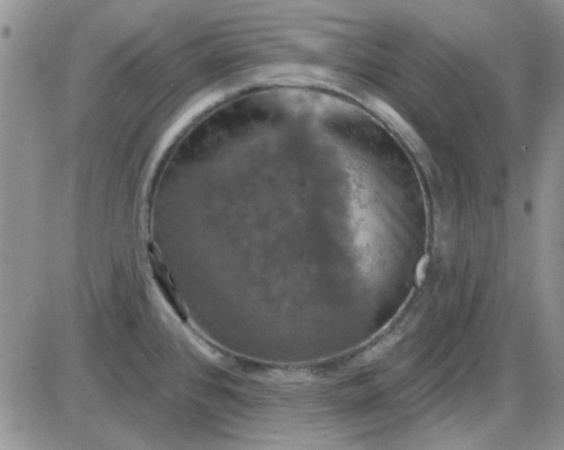 X0000085301384200703231847