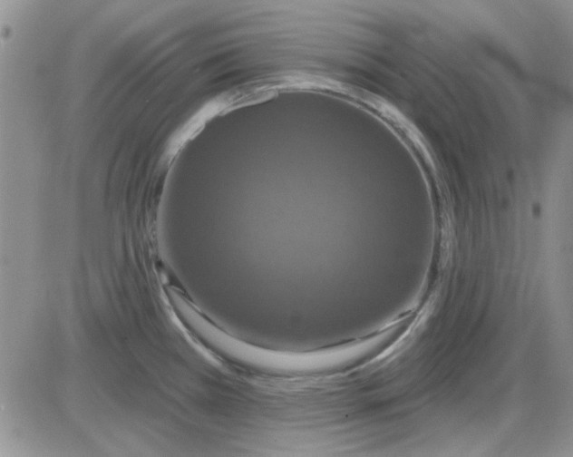 X0000085301385200703231847