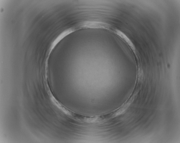 X0000085301386200703231847