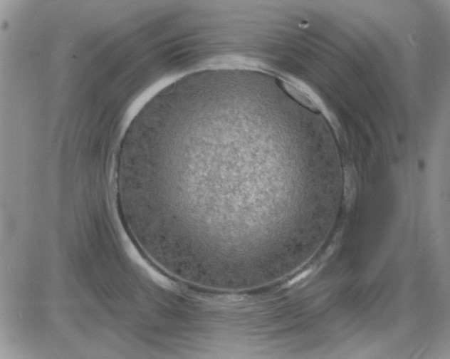 X0000085301387200703231847