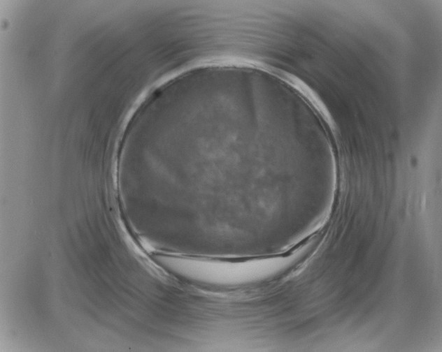 X0000085301388200703231847