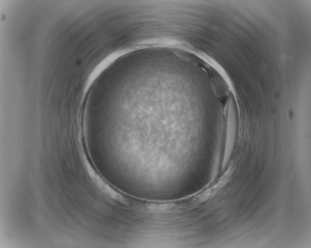 X0000085301389200703231847