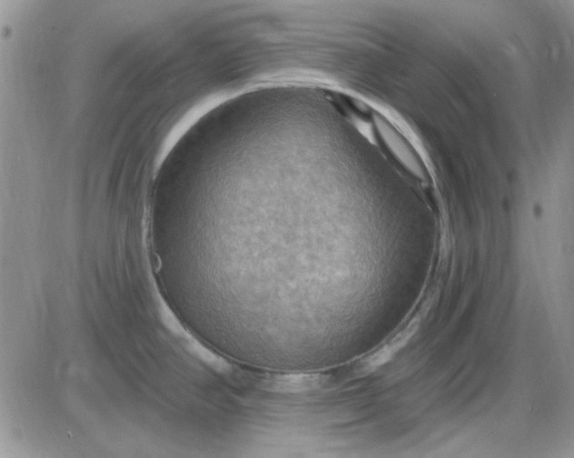 X0000085301390200703231847