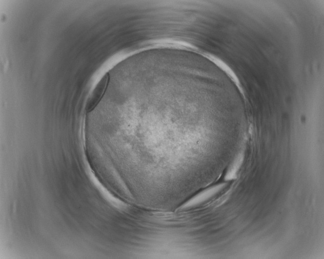 X0000085301391200703231847