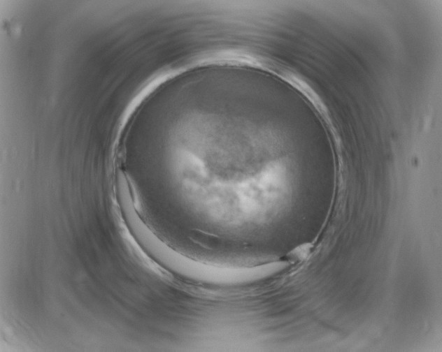 X0000085301392200703231847