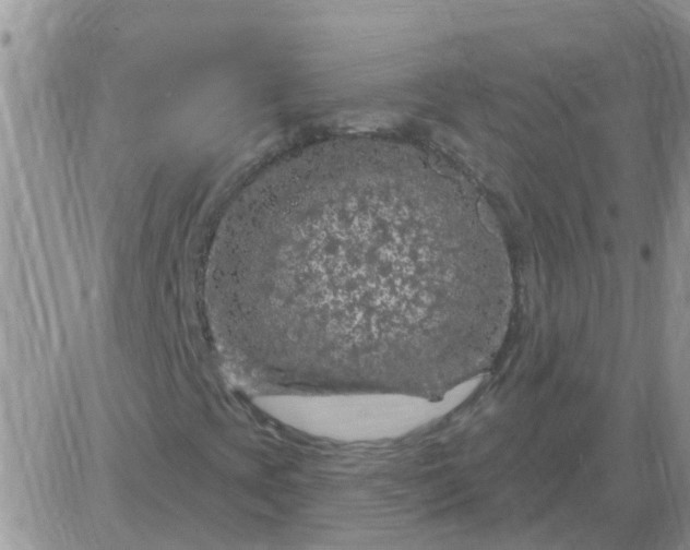 X0000085301393200703231846