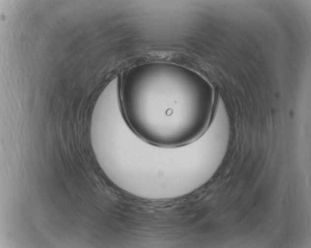 X0000085301394200703231846