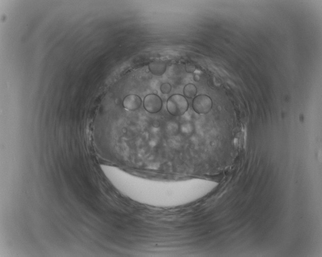 X0000085301395200703231846