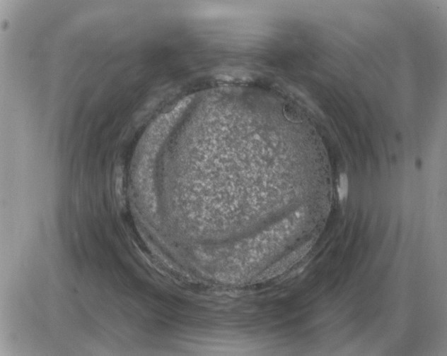 X0000085301396200703231846