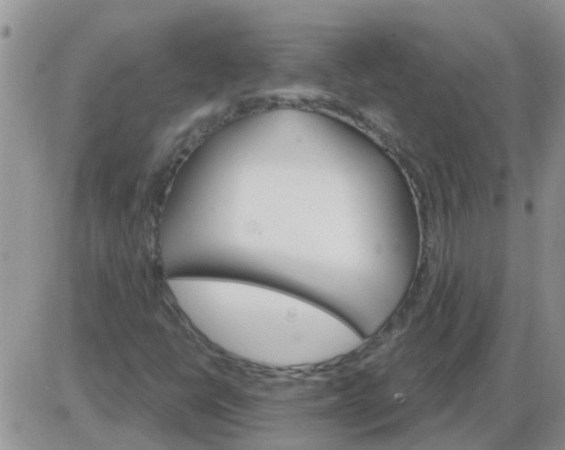 X0000085301398200703231846