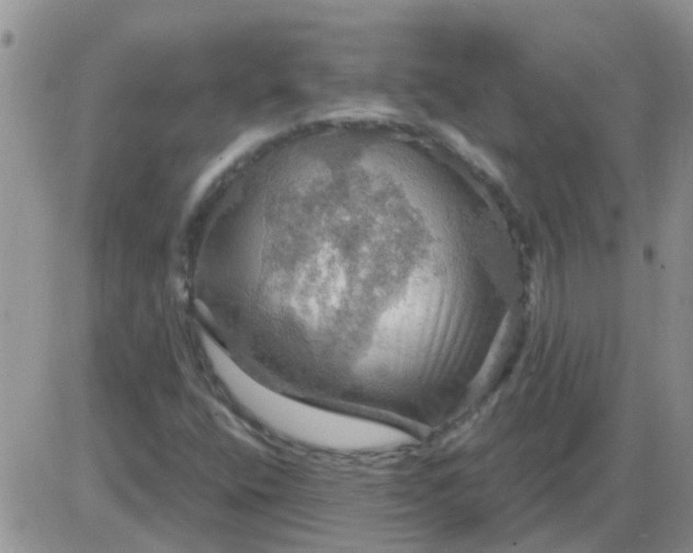 X0000085301400200703231846