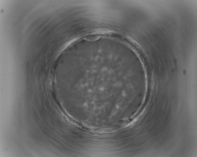 X0000085301401200703231846