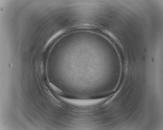 X0000085301402200703231846