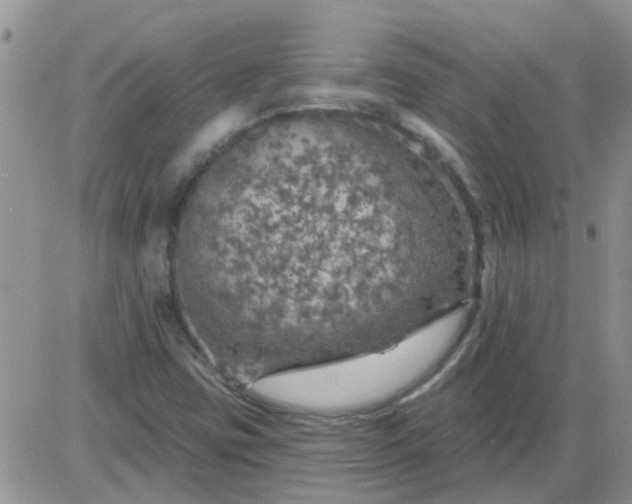 X0000085301403200703231846