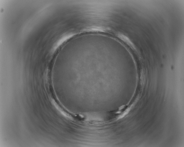 X0000085301404200703231846