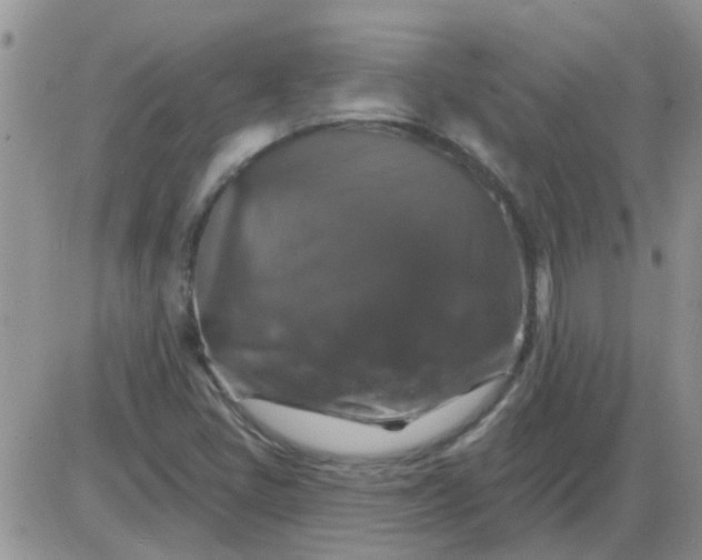 X0000085301405200703231846