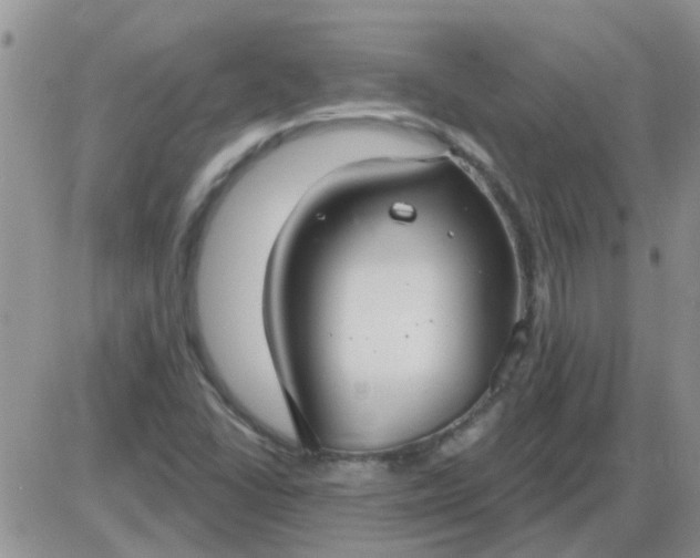 X0000085301406200703231846