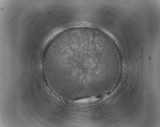 X0000085301407200703231846