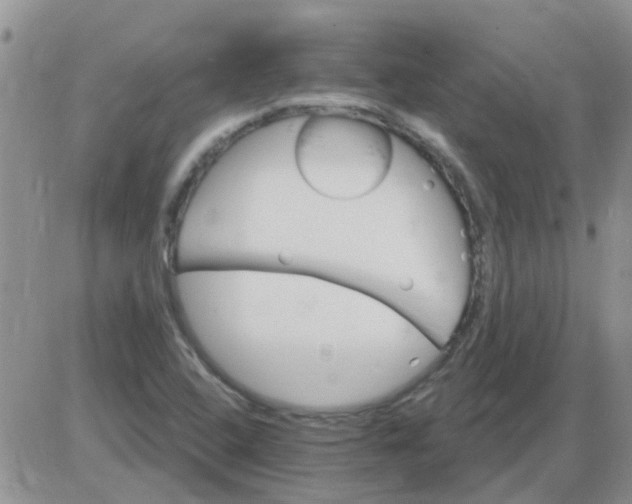 X0000085301408200703231846