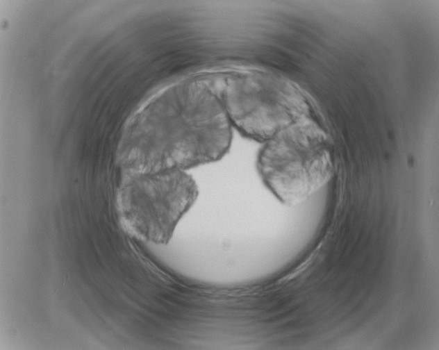 X0000085301409200703231846