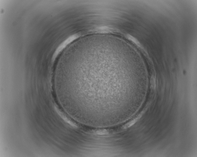 X0000085301410200703231846