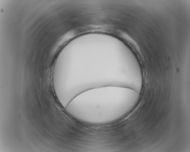 X0000085301411200703231846