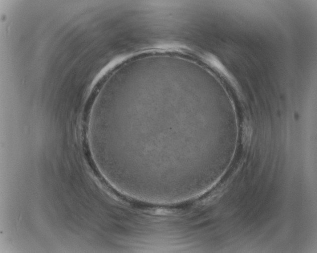 X0000085301412200703231846