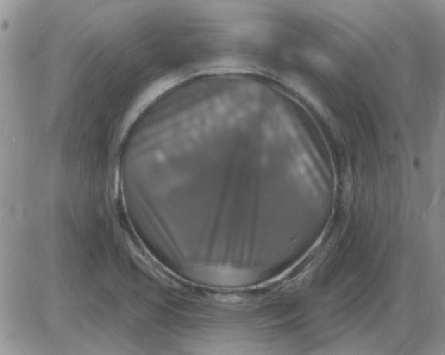 X0000085301413200703231846