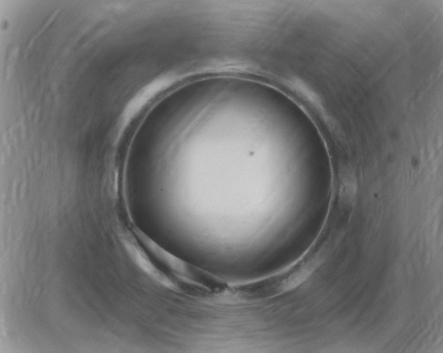 X0000085301414200703231846