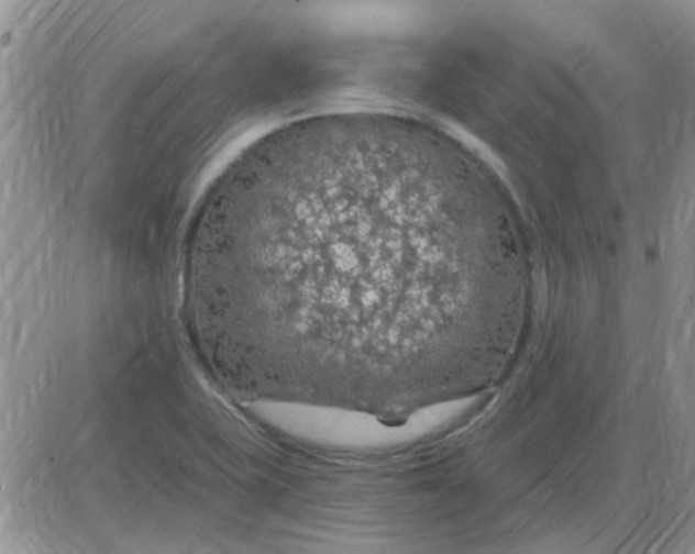 X0000085301415200703231846