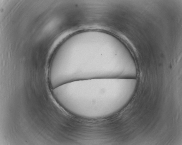 X0000085301416200703231847