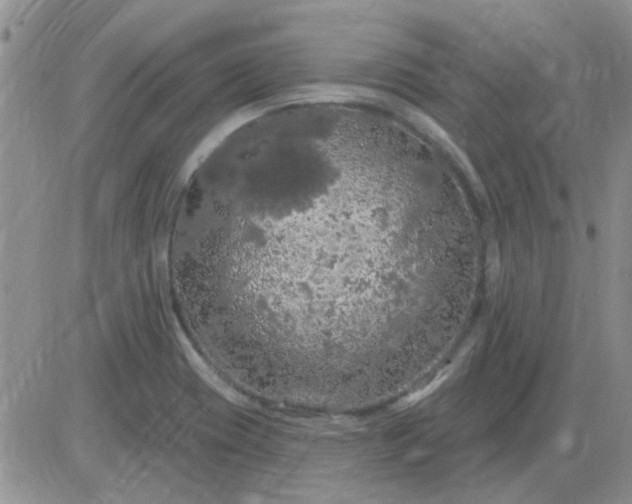 X0000085301417200703231847