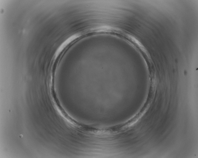 X0000085301418200703231847