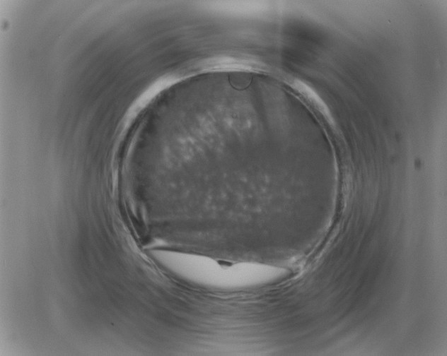 X0000085301419200703231847