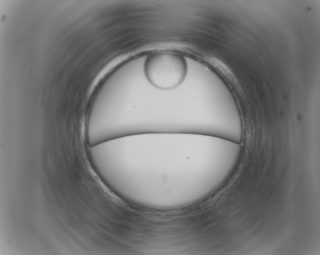 X0000085301420200703231847