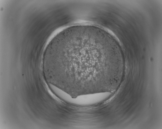 X0000085301421200703231847