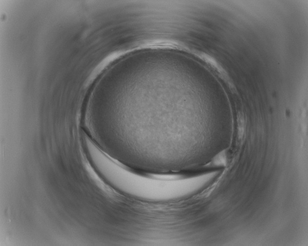 X0000085301422200703231847