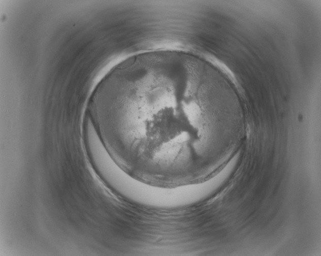 X0000085301423200703231847