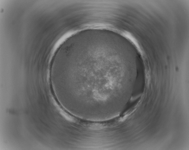 X0000085301424200703231847