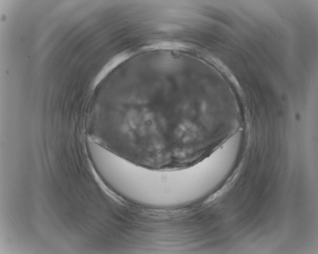 X0000085301425200703231847