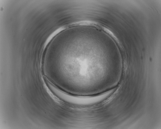 X0000085301426200703231847