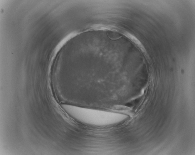 X0000085301427200703231847