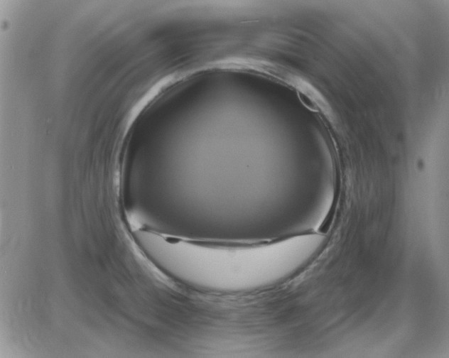 X0000085301428200703231847