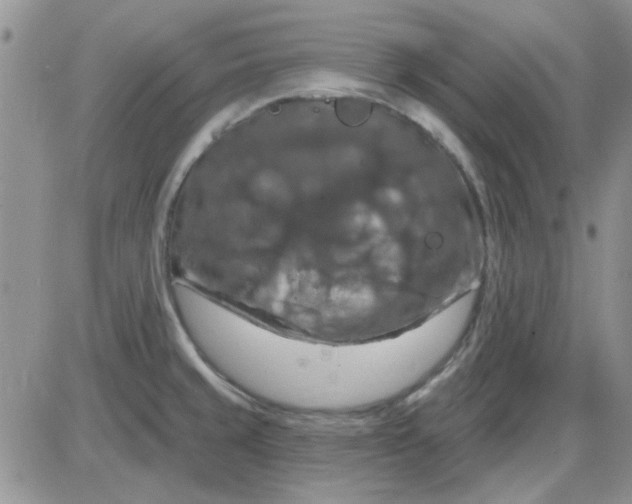 X0000085301429200703231847