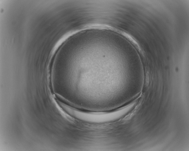 X0000085301430200703231847