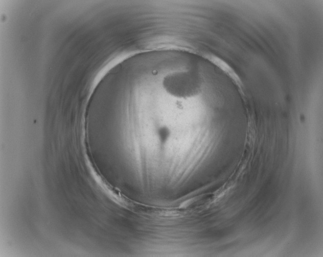 X0000085301431200703231847