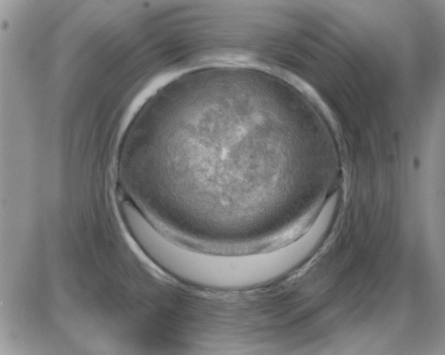 X0000085301432200703231847